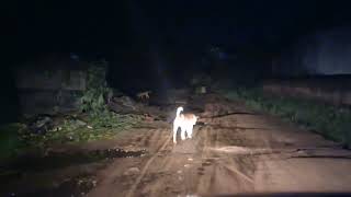 Malawi residential ROAD BY NIGHT Lilongwe City [upl. by Diraf]