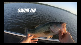 FIVE Bass in ONE HOUR on the Potomac River in June [upl. by Zilevi203]