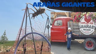 Nos encontramos INSECTOS GIGANTES en GRANARY ROAD [upl. by Ogeid]