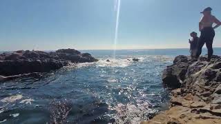 Sacred Cove cave at Abalone Cove Park Rancho Palos Verdes 11523 [upl. by Anairol350]