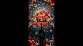 La importancia de la microbiota intestinal [upl. by Cranford865]