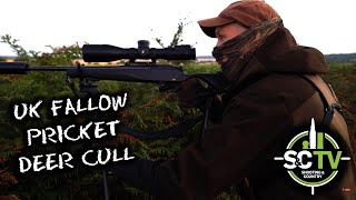 SampC TV  Deer management with Chris Rogers 14  Fallow deer stalking [upl. by Margreta109]