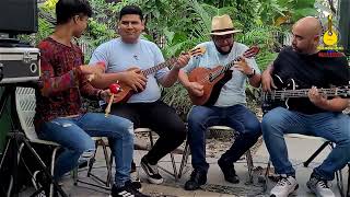 ENMANUEL ARAQUE  ENTREVERAO  MANDOLINAS DE VENEZUELA [upl. by Enyalb]