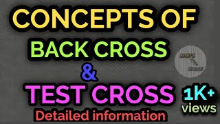 CONCEPTS OF BACK CROSS AND TEST CROSS  DETAILED INFORMATION [upl. by Ylluz]