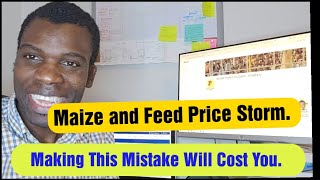 Maize and Feed Price Storm  Mistakes To Avoid [upl. by Zeuqram]