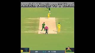 Anrich Nortje vs T Head shorts gaming cricket [upl. by Treva]