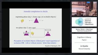 Lecture 32 Cognition in Infancy Part 2 [upl. by Templer975]