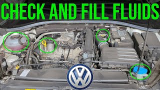 How to Check and Fill Fluids COMPLETE GUIDE  Volkswagen Jetta 20192023 [upl. by Gravante]