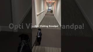 Opti visiting Grandpa [upl. by Staford]