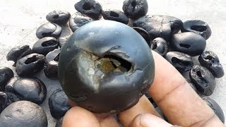 Gandaki river shaligram  different kinds of smaller sri shaligram shila  shaligram stone [upl. by Tymothy]