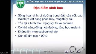 22 VI NẤM NHỊ ĐỘ P MARNEFFEI S CHENCKIIS HISTOPLASMA SPP VI NẤM HẠT MEN C NEOFORMANS [upl. by Elma]