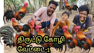 திருட்டு கோழி வேட்டை1🔥🔥 🔥Nattukozhi hunting kozhipidithal [upl. by Erdnaed]