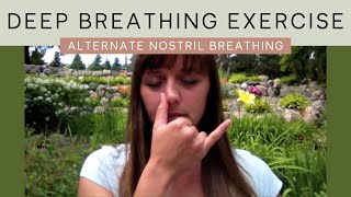 How to Do Alternate Nostril Breathing [upl. by Helenka]