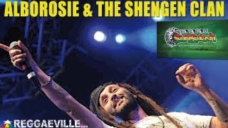 Alborosie amp The Shengen Clan  Rototom Sunsplash 2013 August 21st [upl. by Gyatt499]