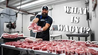 Wagyu Beef and Kobe Beef Whats the Difference The Bearded Butchers Answer and Grill [upl. by Ronacin133]