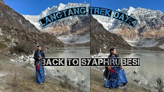 Langtang Trek Day4Back to syaphru besi ⛰️🙏 [upl. by Ludie]