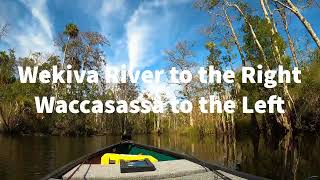 Scenes from Wekiva River in Levy County Part 1 [upl. by Novyat]