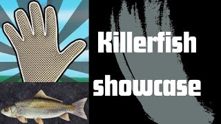 KILLER FISH SHOWCASE ROBLOX SLAP BATTLES [upl. by Eynobe]