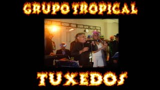 Grupo Tropical TUXEDOS BANDS 503 78921090 21242701 y 71243254 [upl. by Urbani]