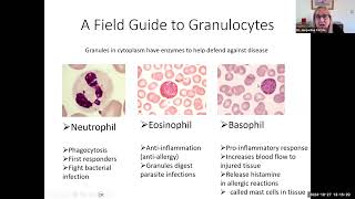 hbio14e leukocytes 11 min [upl. by Pomona63]