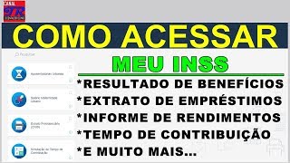 Como Acessar Meu INSS Para Consultar Tudo Que Você Precisa [upl. by Ilahsiav883]