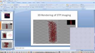 Whole Brain Imaging with STP Tomography  When Size Matters from Bitplane [upl. by Aenaj]