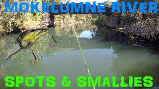 CONSUMES  MOKELUMNE RIVER  EPIC SMALLMOUTH [upl. by Carmine]