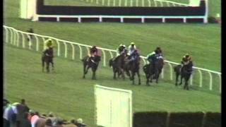 1991 Sandeman Aintree Hurdle [upl. by Hightower]