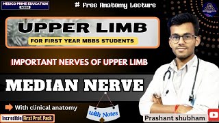 Median Nerve Anatomy  Course amp Branches  Median nerve 3D anatomy  Carpel tunnel syndrome mbbs [upl. by Alliw]