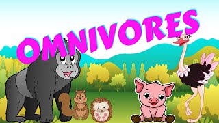 Omnivores  Types of Animal  Science for Kids [upl. by Jesh903]