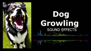 Intense Dog Growling Sound Effect  RoyaltyFree and Free to Use [upl. by Gould535]