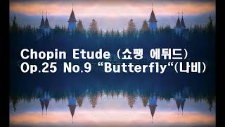 Chopin Etude Op25 No9 quotButterflyquot 쇼팽  나비 피아노연주곡 [upl. by Joceline]