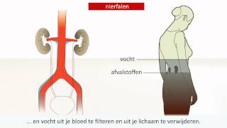 Nieraandoening  Oorzaak en behandeling [upl. by Tecla]