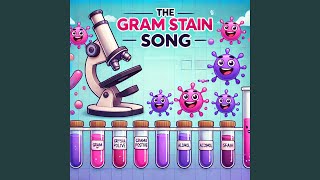 The Song Of Gram stain  Sing amp Learn [upl. by Mccutcheon784]