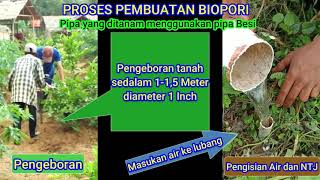 TUTORIAL MEMBUAT TANAMAN BERBUAH TERUS DILUAR MUSIM [upl. by Daegal]