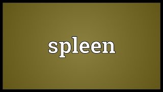 Spleen Meaning [upl. by Pritchett]