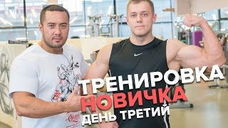 Тренировка для новичка Ноги и Плечи День 3 Сергей Югай [upl. by Boswell]