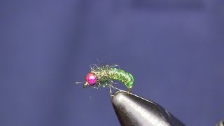 Bead Head Green Caddis Larva Holsingers Fly Shop [upl. by Isac]