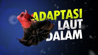 Adaptasi Makhluk Laut Dalam AlamSemenit [upl. by Yard]