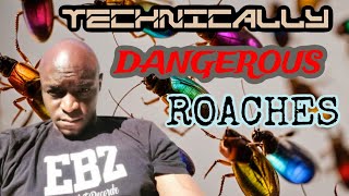 Technically Dangerous Roaches ebz prod by BLBeats94 [upl. by Canning336]