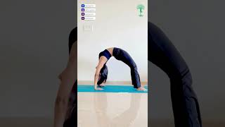 How to Perfect Your Chakrasana – Backbend for Strength amp Flexibility  Daily Yoga  Yoga Life [upl. by Malcom]