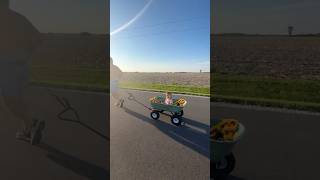 when we visit my parents in small town Indiana 😂 backroads amp baby wagon rides familyfun [upl. by Inverson13]