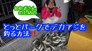 【とっとパーク小島】とっとぱーく小島で初心者さんがサビキ釣りででっかいアジを釣る方法‼️実釣なし、勉強会 [upl. by Burrell]