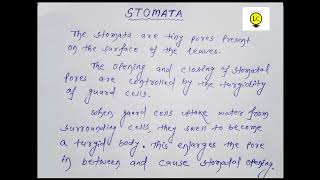 Stomata class10 lifeprocesses biology [upl. by Diego]