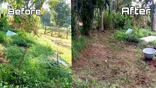 Garden Time Lapse  Garden Cleaning Video  Village Part Time Working  Indian Village Life Style [upl. by Elvera]