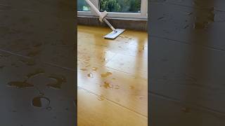 when mopping the floor you might as well try this sponge mopmop youtubeshorts [upl. by Alegnasor]