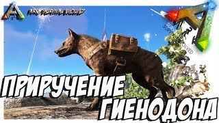 ARK Survival Evolved  ПРИРУЧЕНИЕ ГИЕНОДОНА TAMING HYAENODON [upl. by Flynn]