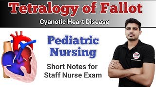 Tetralogy of Fallot  Pediatric Nursing [upl. by Eskil]