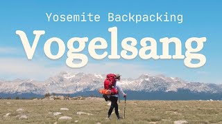 Yosemite Backpacking 3 Days  Rafferty Creek Vogelsang Lyell Canyon Loop [upl. by Geer]