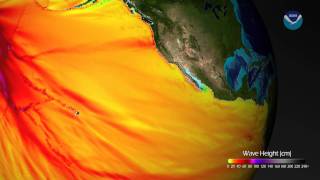 Tsunami Wave Height Model Shows PacificWide Impact [upl. by Bj]